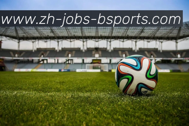 B体育APP 封面图